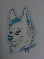 Headshot Lyrien