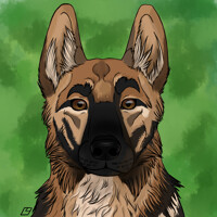 Icon for PATROL