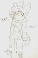 Ino The shiba Inu