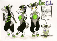 Pine Cole Character Sheet