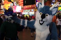 Kai the Dirdwolf: No Malako!