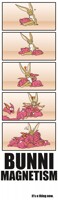 Hug-a-Bunni