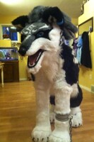 Wolf Link quadsuit for sale!