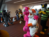 Anthrocon 2013 fursuit parade #41