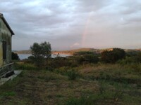 Baratti