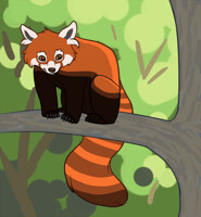 pander