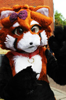 Scouse Furs Meet: Hai der! ^-^