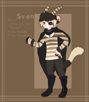 Sven Mini Ref