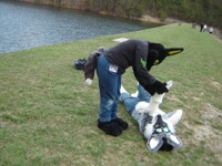 Anubis Looking At Ahote's Paw