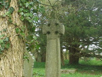 Forest Grave