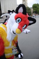 is this camera safe?