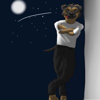 aproveitando a noite