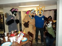 new meet new suiters