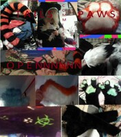 Fursuit Comissions Open Body suits n stuffz