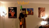 My First Fursuit Juggling Video!!
