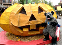 big pumpkin