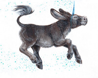 Find Your Inner Unicorn