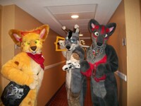 zero, ruby,kaptain kelly