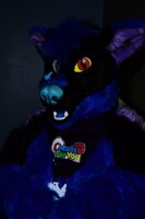 Tulsa Furbowl