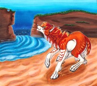 :the beauty of the beach:: 