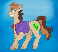 Webster - October 2013