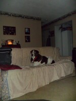 This is my sopot on the chouch