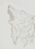 Just HOWLING in the shadows