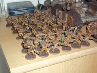 My Imperial Guard Army 1/7