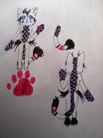 kitty meow