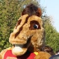Morris @ the Country Fair During Homecoing Week (Story)