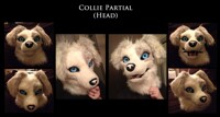 Collie Partial 2/4