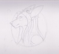 Headshot Approval Sketch - #13