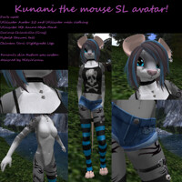 ATTENTION SECOND LIFERS: A CHALLENGER APPROACHES