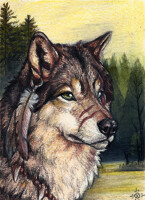 Nature's Child ACEO