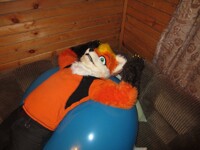 fox and ball 3