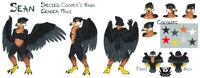 Sean Reference Sheet (Commission)
