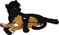 Cuddles