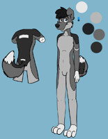 Kota fursona Design