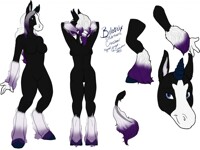 Belatrix Reference Sheet