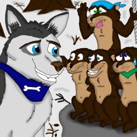 Clark the Husky meet the four Otters ^^