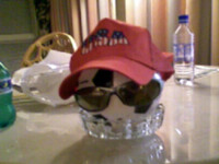 Soccer [football] head