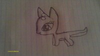 German Pony Shephard