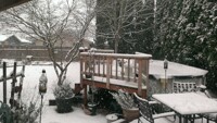snow 12-6-13 3