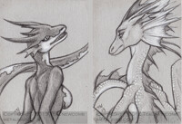 calligrapher42490 ACEO sketches