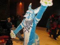 MFF 2013 pic 68