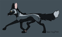 closed - Silver Fox 