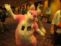 MFF 2013 pic 73