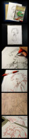 Line Transfer - Tutorial by Teakitsune