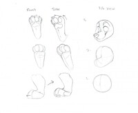 Paw and Muzzle Tutorial - by ArterialFox