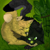 one year anniversary